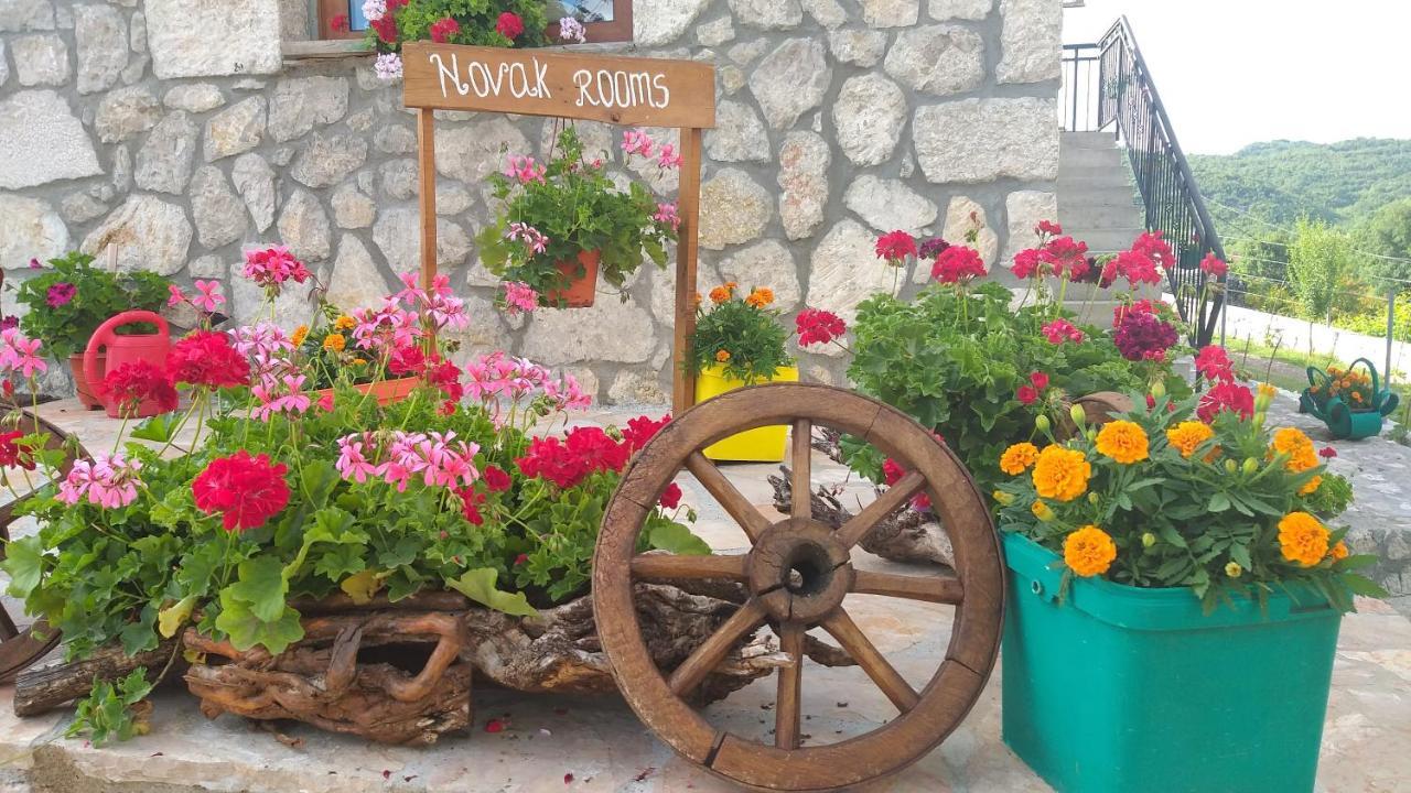 Village House - Novak Rijecani Rijeka Crnojevića Extérieur photo