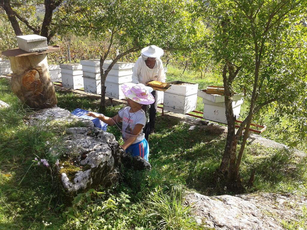 Village House - Novak Rijecani Rijeka Crnojevića Extérieur photo